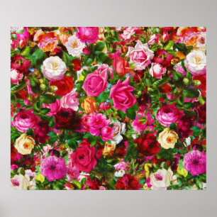 Elegante Vintage Rose Florenz Poster