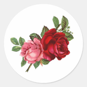 Elegante Vintage-Rosen pink rot Runder Aufkleber
