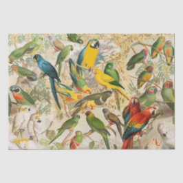 Elegante Vintage tropische Vogelparroten Seidenpapier