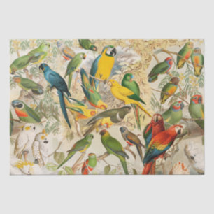 Elegante Vintage tropische Vogelparroten Seidenpapier