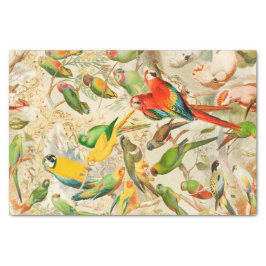 Elegante Vintage tropische Vogelparroten Seidenpapier