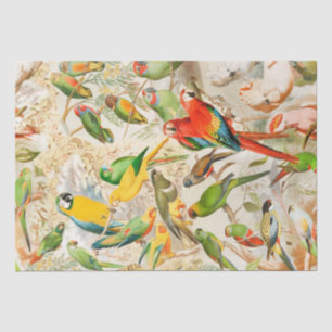 Elegante Vintage tropische Vogelparroten Seidenpapier