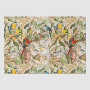 Elegante Vintage tropische Vogelparroten Seidenpapier