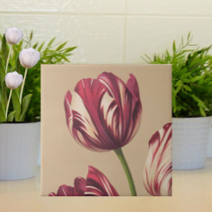 Elegante Vintage-Tulpen-Kunst Florale Botanik Fliese