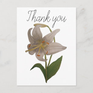 Elegante Vintage White Lily Blume Vielen Dank Postkarte