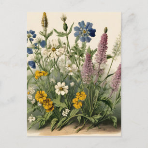 Elegante Vintage Wildblumen Postkarte