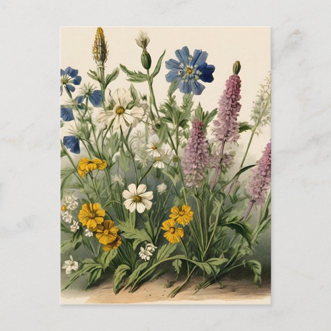Elegante Vintage Wildblumen Postkarte (Vorderseite)