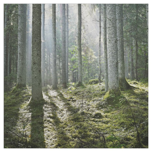 Elegante Waldmorgenszene Stoff (Muster)