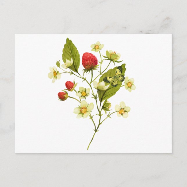 Elegante Wasserfarbe Erdbeere Pflanze mit Blume Postkarte (Vorderseite)