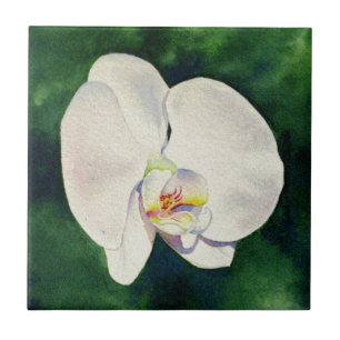 Elegante Wasserfarbenmalerei des Orchideen Fliese