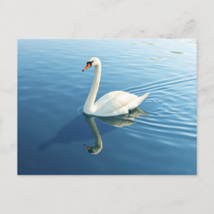 Elegante Watercolor auf einem ruhigen See Postkarte