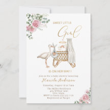 Elegante Watercolor Stork Baby Girl Baby Shower