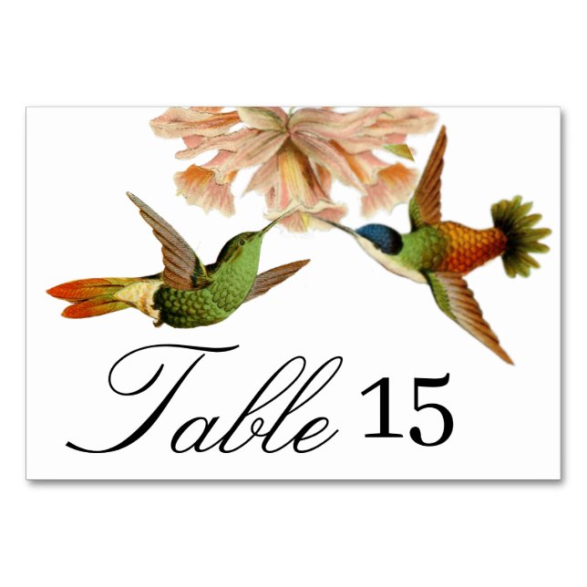 Elegante Wedding Hummingbird Tischnummer (Vorderseite)