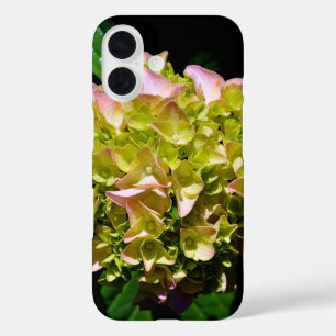Elegante weiche, grüne, rosafarbene, blühende Hydr iPhone 16 Hülle