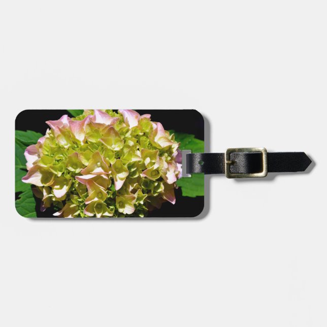 Elegante weiche, grüne, rosafarbene, blühende Hydr Gepäckanhänger (Vorderseite horizontal)