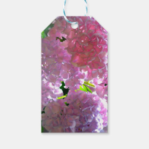 Elegante weiche rosa Blumen rosa Hydrangeas-Rose Geschenkanhänger