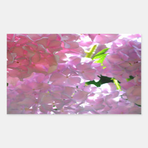 Elegante weiche rosa Blumen rosa Hydrangeas-Rose Rechteckiger Aufkleber