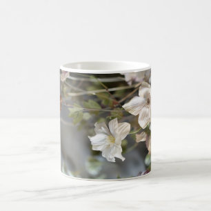 Elegante weiße Blumen-Tasse Blasse Blumen fein Kaffeetasse
