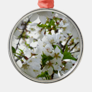 Elegante weiße Blüte weiß blühender Baum Silbernes Ornament