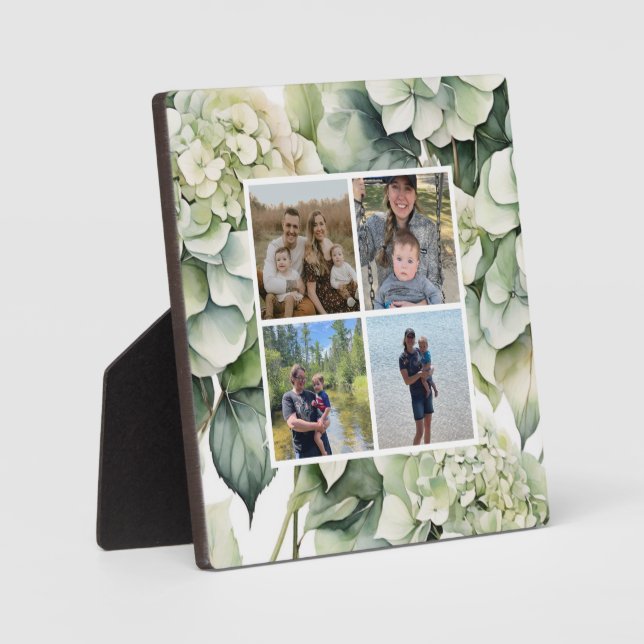 Elegante weiße, grüne Hydrangeas mit Blumen Fotoplatte (Vorderseite)