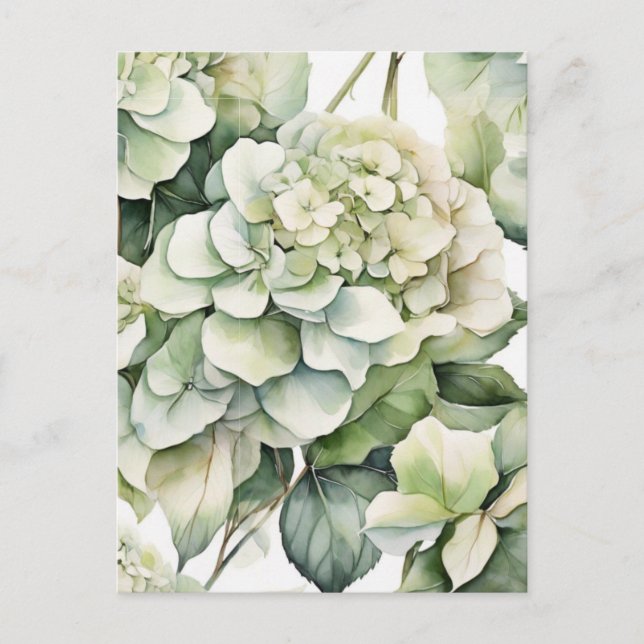 Elegante weiße, grüne Hydrangeas mit Blumen Postkarte (Vorderseite)