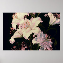 Elegante weiße Lilien auf schwarzem Hintergrund Fl Poster