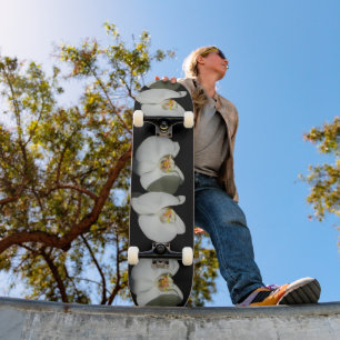 Elegante weiße orchid tropische weiße Blume Skateboard