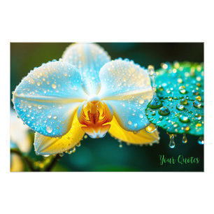 Elegante weiße Orchidee mit Wassertropfen Botanik Fotodruck