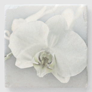 Elegante weiße Orchideen-Botanik-Kunst Steinuntersetzer
