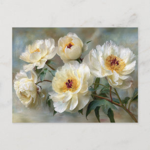 Elegante weiße Pfingstrosen in Blüte Postkarte