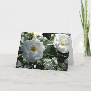 Elegante weiße Rose zum Geburtstag Karte