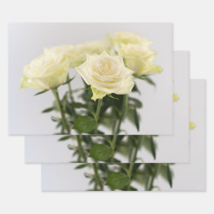 Elegante weiße Rosen zeitlose Blumenfotografie Geschenkpapier Set
