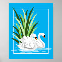 Elegante weiße Schwäne auf blauem Wasser