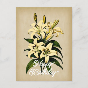 Elegante weiße Vintage-Lilienblume Frohe Geburtsta Postkarte
