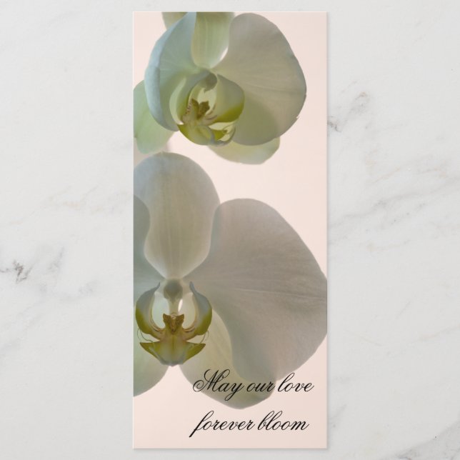 Elegante White Orchid Wedding Programm (Vorderseite)