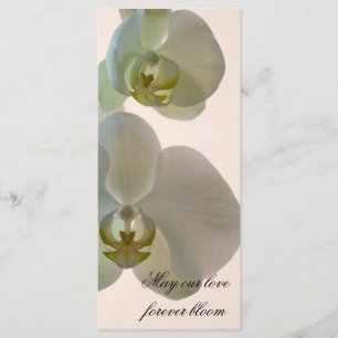 Elegante White Orchid Wedding Programm