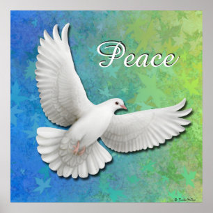 Elegante White Peace Dove Print Poster