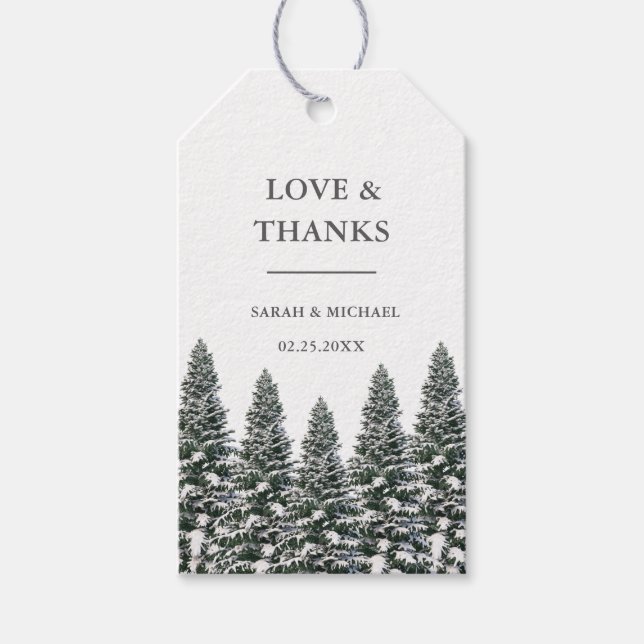 Elegante Winter Wonderland Schneeflocken Geschenkanhänger (Vorderseite)