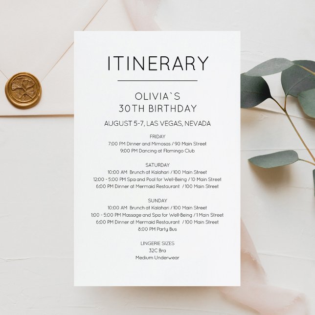 Elegante Wochenend-Geburtstags-Reiseplan-Einladung (Elegant Weekend Birthday Itinerary Invitation)