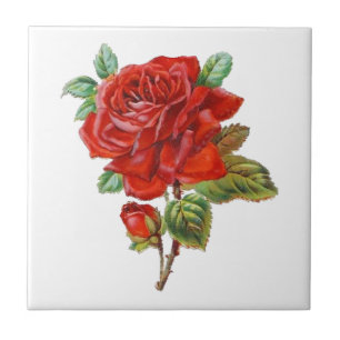 elegante Wohngestaltung mit Vintager rote Rose Fliese