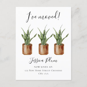Eleganter Adresswechsel Ankündigungspostkarte