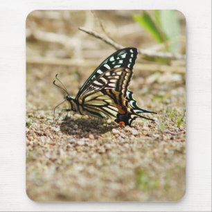 Eleganter asiatischer Frack Butterfly - Detaillier Mousepad