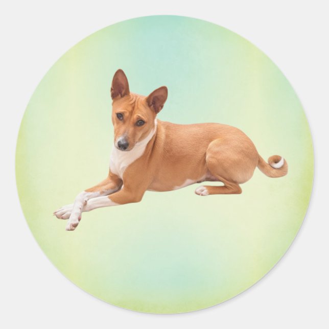 Eleganter Basenji-Hund  Runder Aufkleber (Vorderseite)