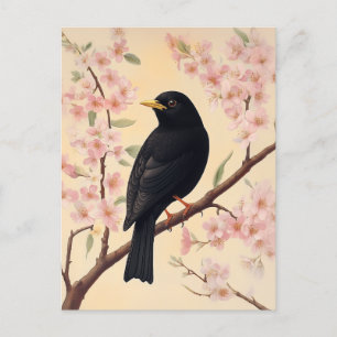 Eleganter Blackbird im Blütenrausch Postkarte