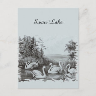 Eleganter blauer Schwanensee Vintage Postkarte