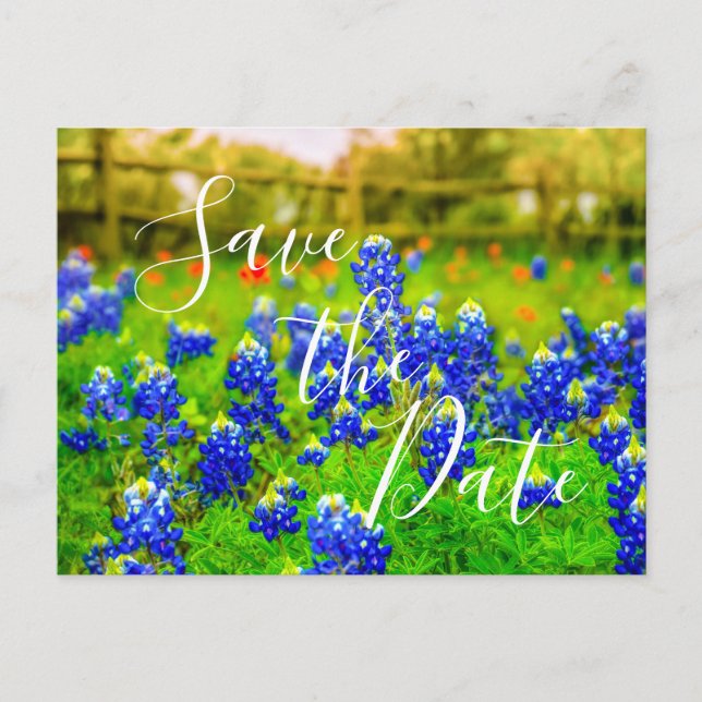 Eleganter Bluebonnets Spring Save the Date Ankündigungspostkarte (Vorderseite)