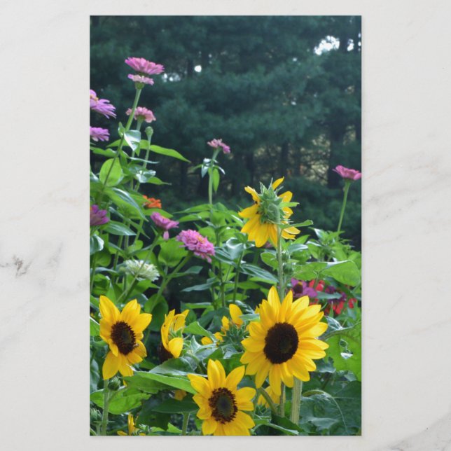 Eleganter Blumengarten Sonnenblumen Zinnia Mums (Vorderseite)