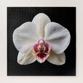 Eleganter Botanischer Orchideen-Kollektionsposter Puzzle