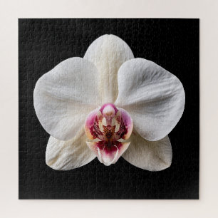 Eleganter Botanischer Orchideen-Kollektionsposter Puzzle