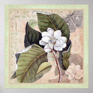 Eleganter botanischer Poster im südlichen Stil Mag